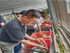 深圳宝安周边自助野炊烧烤一个值得你去的农家乐