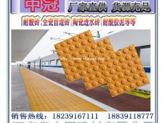 耐酸耐碱盲道砖 广东地下停车场防腐蚀盲道砖L