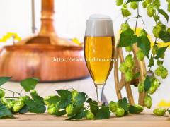上海啤酒花进口报关清关
