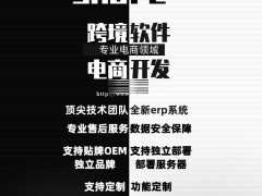 亚马逊ERP系统招商OEM代理定制