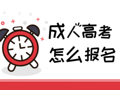 成人高考怎么报名？