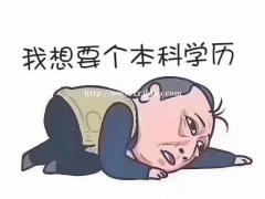 五年制专转本报什么样的辅导班更好