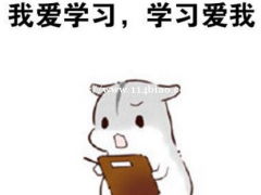 瀚宣博大告诉你学历有多重要