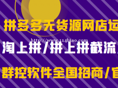 无货源拼多多店群软件，自动采集上货一键拍单自动发货统计利润