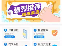 广东 智能还款系统oem系统开发 代还app软件开发哪个公司