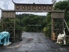 深圳坪山公司团建多人推荐的农家乐居然是它，九龙生态园