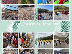 深圳九龙生态园公司团建拓展一日游分享