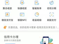 互联网支付系统开发，开发无卡支付系统