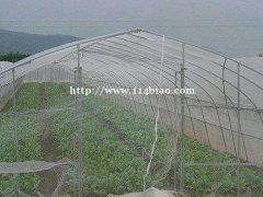 预防粉虱专用加密防虫网抗老化新料通风防虫网直销