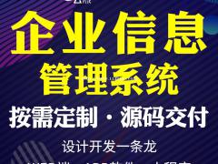 企业信息管理系统搭建，企业信息管理系统开发专业团队