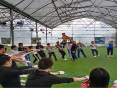 深圳适合公司团建拓展员工聚会的好地方