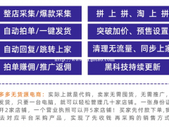 拼多多无货源店群怎么学习？拼多多无货源店群培训学校，学技术找