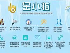金小指工作室项目是如何做到数据流量回收快速变现的