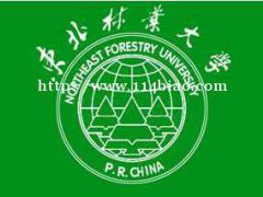 自考专科推荐东北林业大学艺术设计专业 统考2科实力推荐