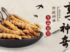 高价回收冬虫夏草 回收东阿阿胶 回收燕窝海参