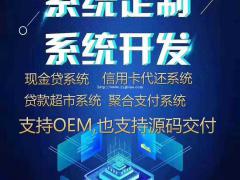西安市代还软件开发，线下精养卡系统定制