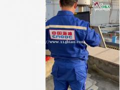 景区园林短时临近雷电监测预警系统 远程短信雷电预警信息