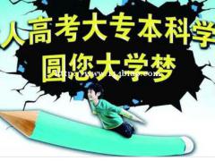 提升学历再度上热搜 博德圆您大学梦