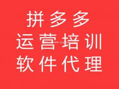 拼多多无货源店群，软件代理免费贴牌无限开，培训扶持全国招商
