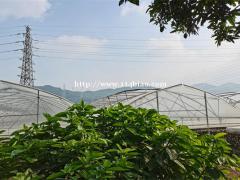 深圳市龙华农家乐团建周末休闲户外野炊一日游