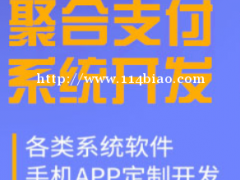 山东烟台无卡支付系统开发公司定制还款软件