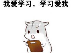 苏州博大2022五年制专转本考前辅导班火爆招生