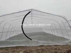 直供云南蚂蚱养殖网耐晒防咬纯料新料蚂蚱网