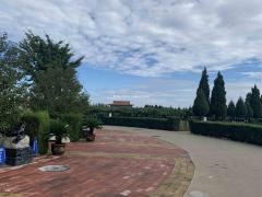 河北石家庄公墓陵园购买墓地后能转让吗？