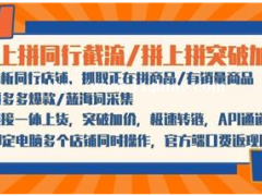 大象拼上拼软件，采集同行采集数据分析转链一体代理OEM加盟