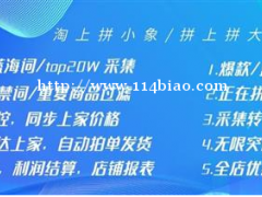 拼多多店群项目，软件ERP群控管理后台，拼多多精细化运营新玩