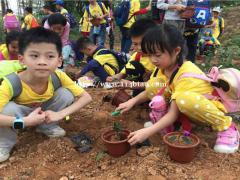 深圳沙井周边亲子研学好去处班级春秋游农家乐