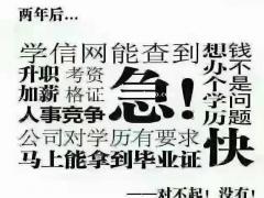 大专学历可以考公务员吗？考公务员需要什么条件？