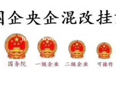  二级央企代持的费用是多少呢