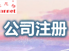 广州注册捷克公司的流程是怎样的？
