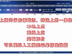 大象软件提取同行数据，运营教程售后跟踪指导培训，全国代理加盟