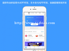 如何开发一套个人定制智能代还软件，代还系统应用程序