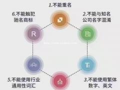 一般纳税人专业工商年报