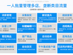 拼多多店群软件工具，工作室转型找项目，软件后台贴牌代理