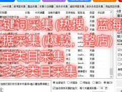 无货源店群如何选品上货，软件整店采集截流同行突破全国加盟代理