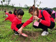企业团体植树节活动就来果盛生态园