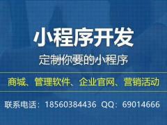 定制小程序开发，商城小程序定制，专业小程序APP开发服务商