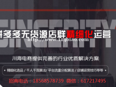 拼上拼大象软件，智能管理店铺后台数据，无货源店群软件代理