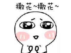 选择注册公司，还是个体户好？