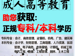 成人高等教育  会计培训