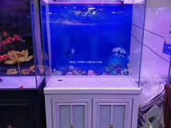 济南鱼缸清洗