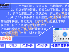 拼多多采集上货——小奶猫拼上拼淘上拼软件，大额小额券玩法培训