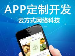 网约车小程序专业定制开发   网约车小程序专业开发定制团队