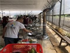 深圳周末出游家庭踏青聚会野炊烧烤场