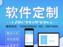 软件定制开发公司专业APP应用开发 小程序开发 高端网站建设