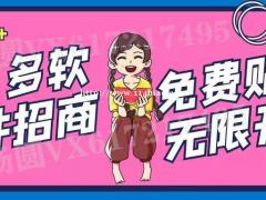 小象店群软件代理，采集全网批量上传同步，运营思路指导加盟